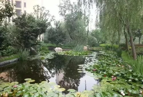 这些园林绿化工程施工技术规范,值得你花时间学习一下