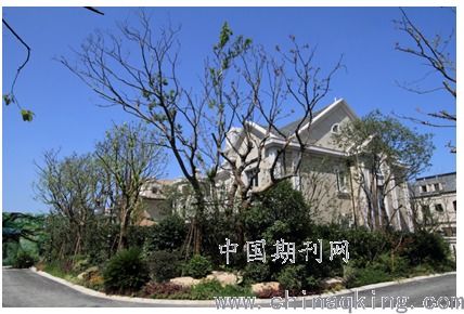 打印预览
