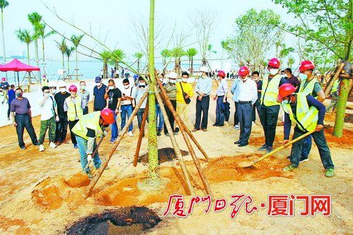 厦门 绿化企业信用越好 招投标机会越多