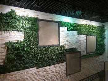 杭州植物绿墙施工 植物绿墙供求热线 惜绿公司高清图片 高清大图