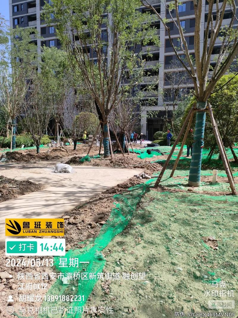 施工现场实拍 #园林绿化工程 #工程进度 #现场实拍 望江