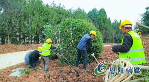 假期不停工，大梁山城市公园建设加速推进体育场地设施工程