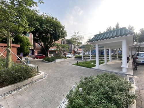 厚街镇积极推进园林绿化品质提升工程,5个口袋公园建成落地