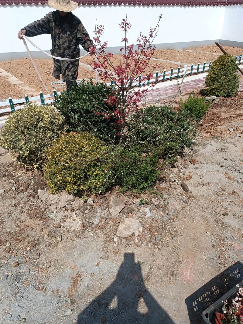 单位绿化施工现场管理与园林景观工程实践