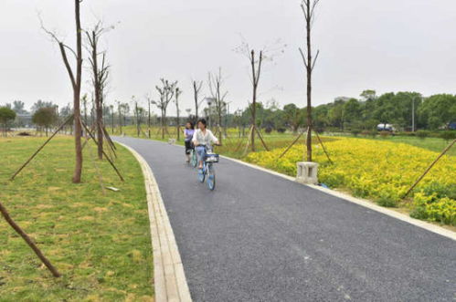 绵阳再添绿色新名片 大型公园试开园,园林绿化工程圆满竣工