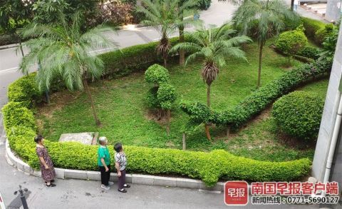 南宁绿化工人五年匠心打造动物世界主题园林,绿色艺术惊艳全城