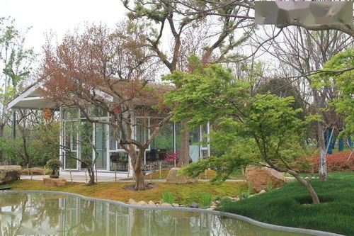 绿化行业王者之路 从园林施工到体育场地绿化全解析