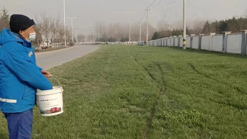 勤梳妆 绿护忙 四招聚力园林绿化精细化管养与工程施工