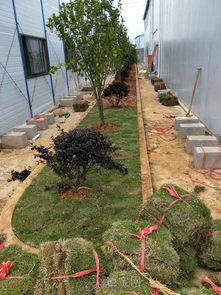 南昌自建房周边综合工程施工要点与注意事项