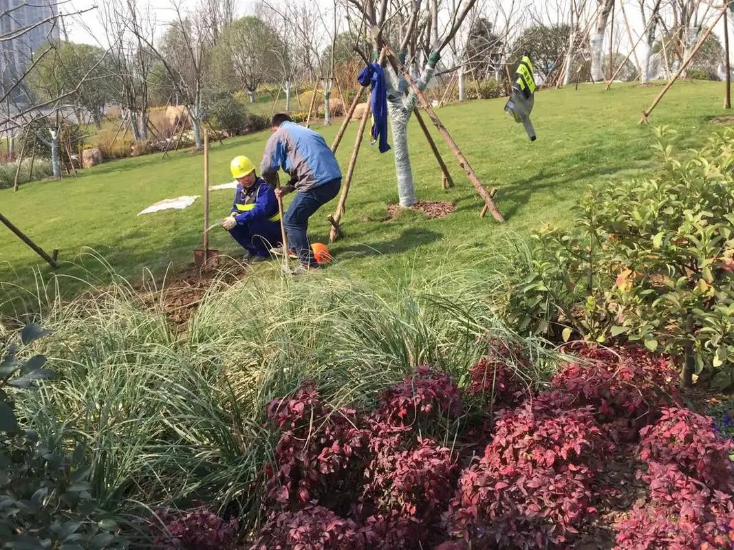 边坡绿化工程 专业施工，筑造绿色家园的生态屏障