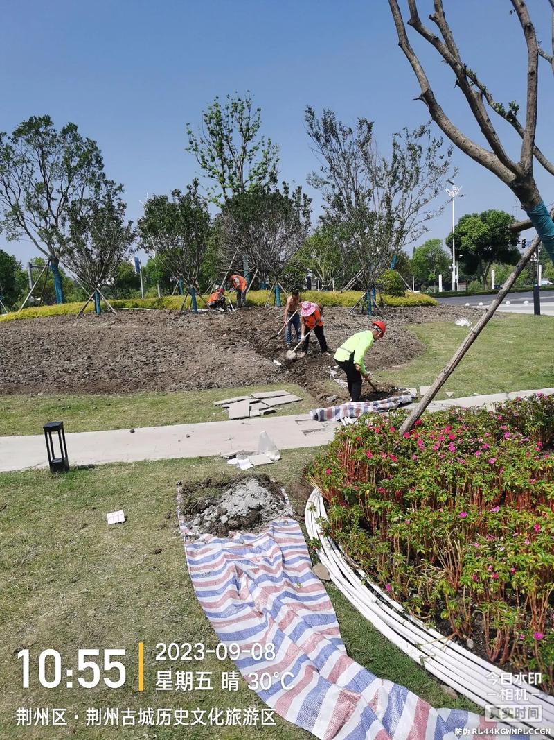 现场实拍 体育场地设施工程施工——景区建设中的园林绿化工程新篇章