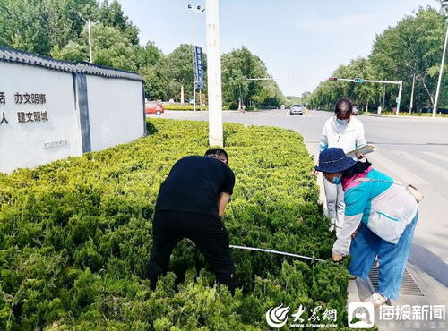 青州市园林绿化和环卫中心 卡准绿化施工精度尺，拉紧项目验收质量绳——以高标准打造体育场地设施工程