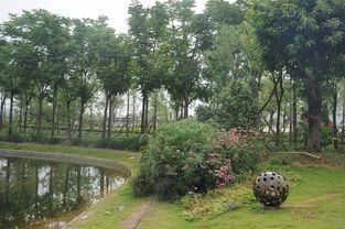 匠心筑绿场，活力映荆楚——2017年度湖北省体育场地设施优质工程巡礼