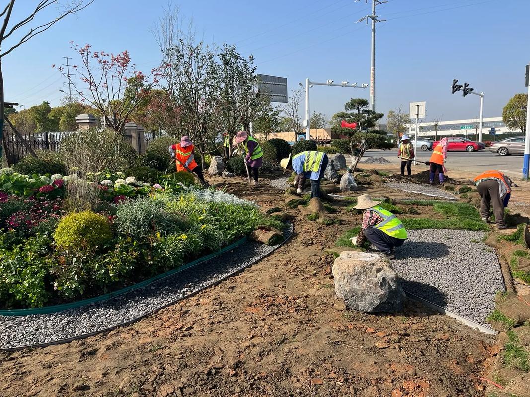 园林绿化工程施工实录 从蓝图到绿意盎然的现场实践