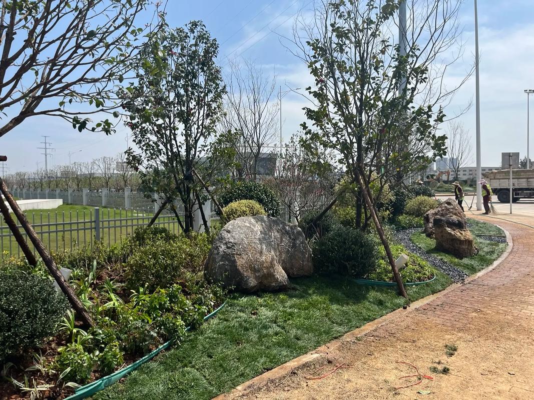 园林绿化工程 从施工现场实拍看生态美学的诞生